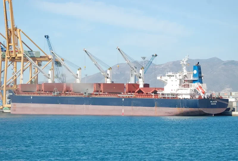 INGWAR SELMER Bulk Carrier IMO 9490818 photo 8