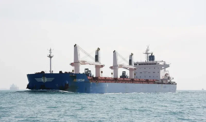 INGWAR SELMER Bulk Carrier IMO 9490818 photo 10