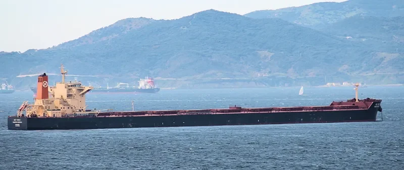 SM NEWCASTLE Bulk Carrier IMO 9490882 photo 6
