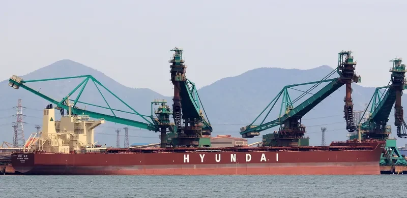 HL VISION Bulk Carrier IMO 9490909