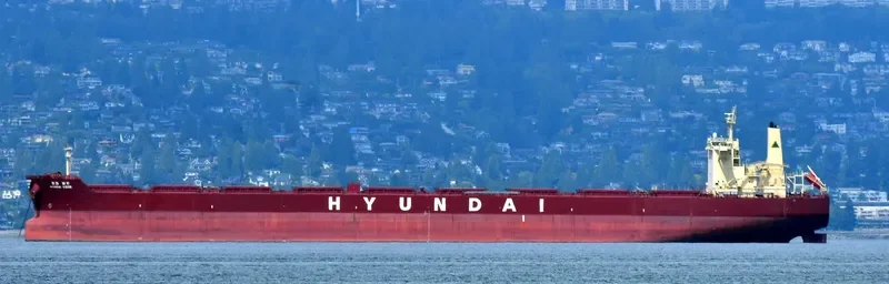 HL VISION Bulk Carrier IMO 9490909 photo 9