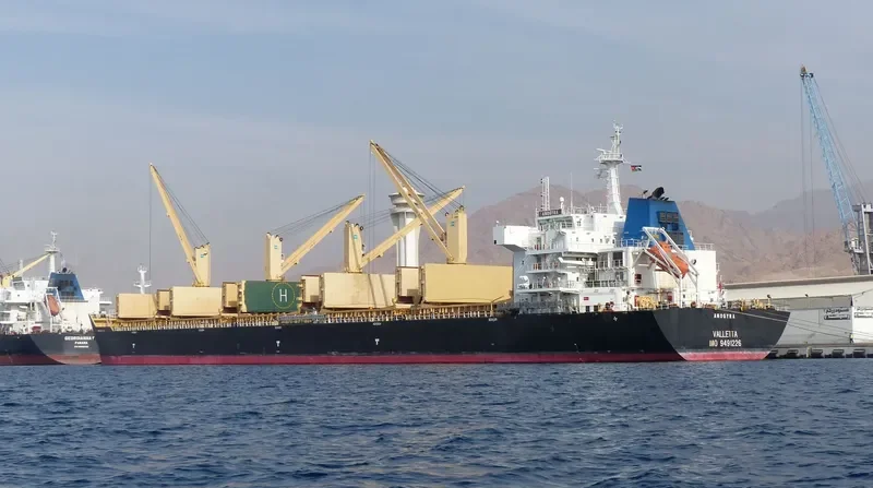 ANOGYRA Bulk Carrier IMO 9491226 photo 2