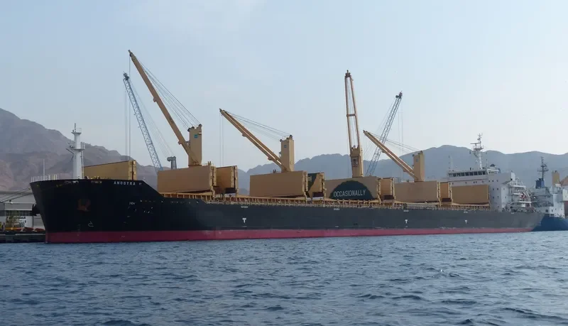 ANOGYRA Bulk Carrier IMO 9491226 photo 4