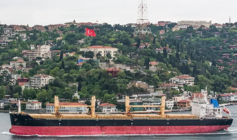 ANOGYRA Bulk Carrier IMO 9491226 photo 5