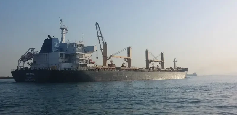 ANOGYRA Bulk Carrier IMO 9491226 photo 7