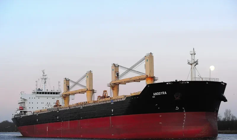 ANOGYRA Bulk Carrier IMO 9491226 photo 8