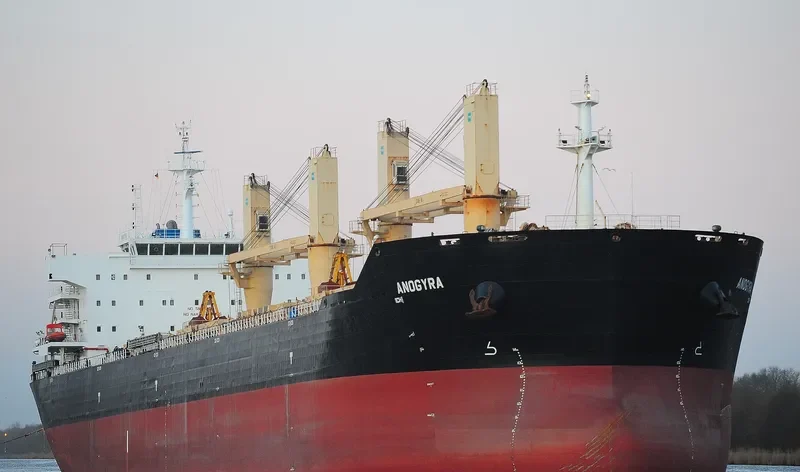 ANOGYRA Bulk Carrier IMO 9491226 photo 9