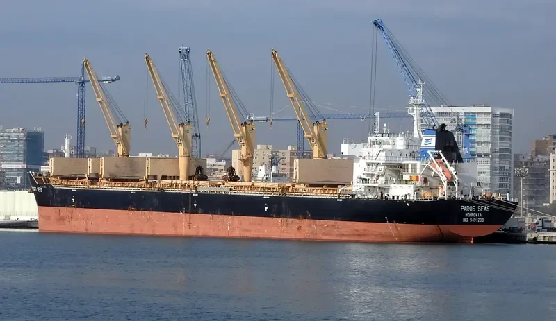 DAYANG CENTURY Bulk Carrier IMO 9491238 photo 2