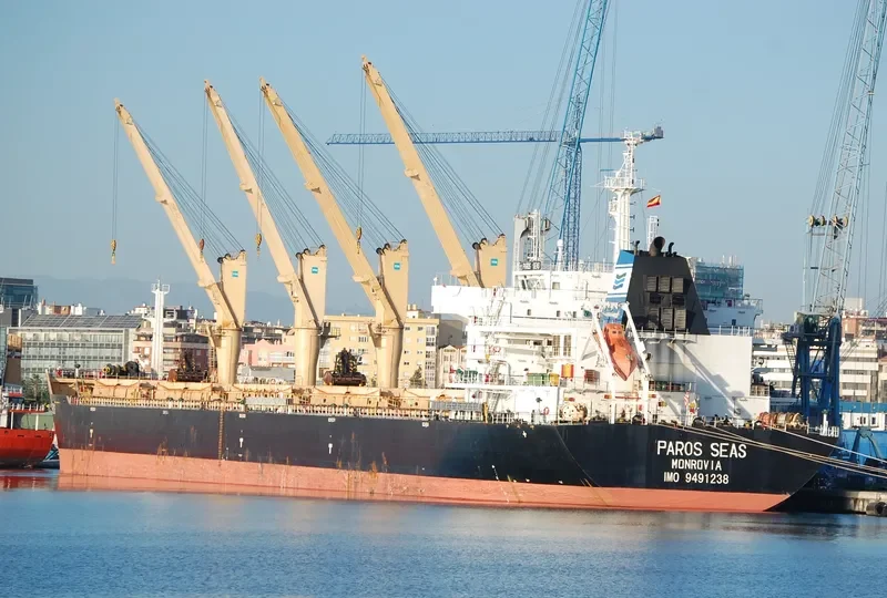 DAYANG CENTURY Bulk Carrier IMO 9491238 photo 6