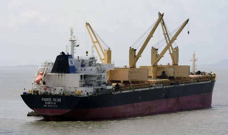 DAYANG CENTURY Bulk Carrier IMO 9491238 photo 8