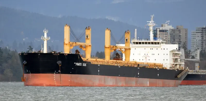 DAYANG CENTURY Bulk Carrier IMO 9491238 photo 9