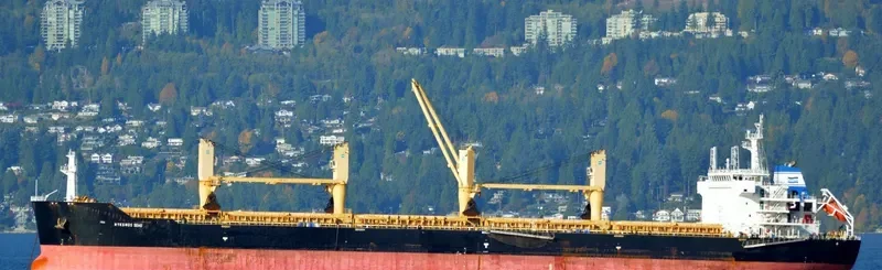 MYKONOS SEAS Bulk Carrier IMO 9491240 photo 3