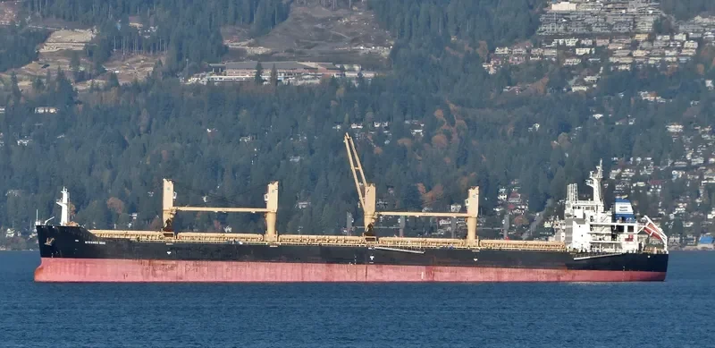 MYKONOS SEAS Bulk Carrier IMO 9491240 photo 4