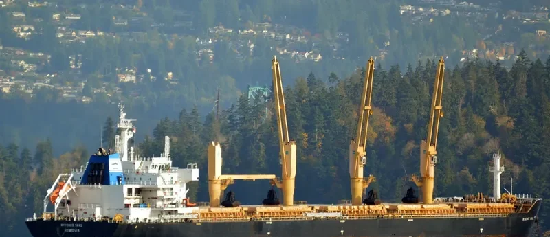 MYKONOS SEAS Bulk Carrier IMO 9491240 photo 6