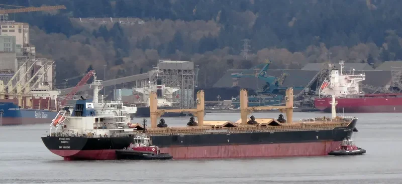 MYKONOS SEAS Bulk Carrier IMO 9491240 photo 7