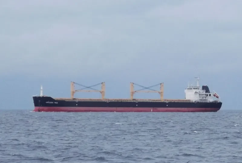 MYKONOS SEAS Bulk Carrier IMO 9491240 photo 8