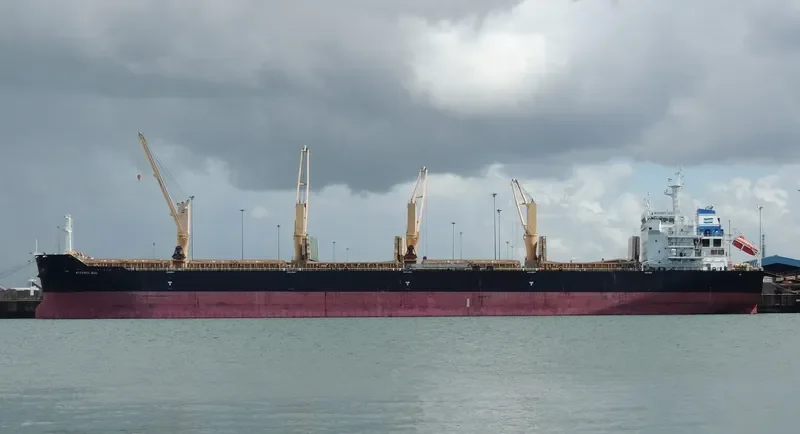MYKONOS SEAS Bulk Carrier IMO 9491240 photo 9