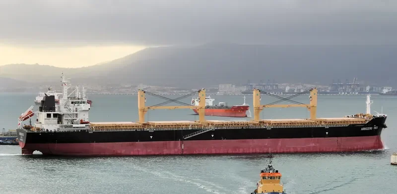 MYKONOS SEAS Bulk Carrier IMO 9491240 photo 10