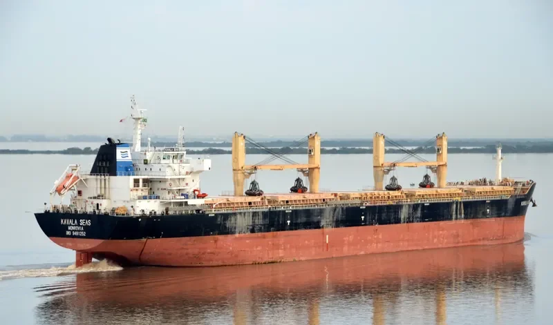 DAYANG ORIENT Bulk Carrier IMO 9491252 photo 3