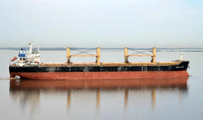 DAYANG ORIENT Bulk Carrier IMO 9491252 photo 4