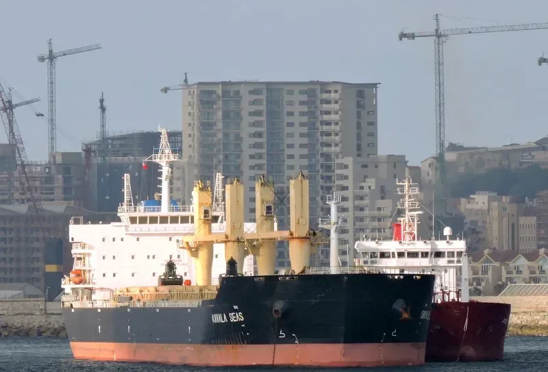 DAYANG ORIENT Bulk Carrier IMO 9491252 photo 7