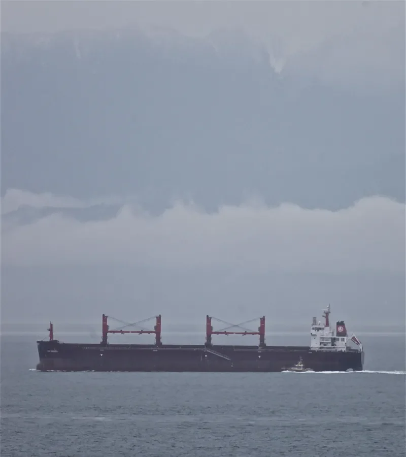 KIRAN AMERICA Bulk Carrier IMO 9491264 photo 5