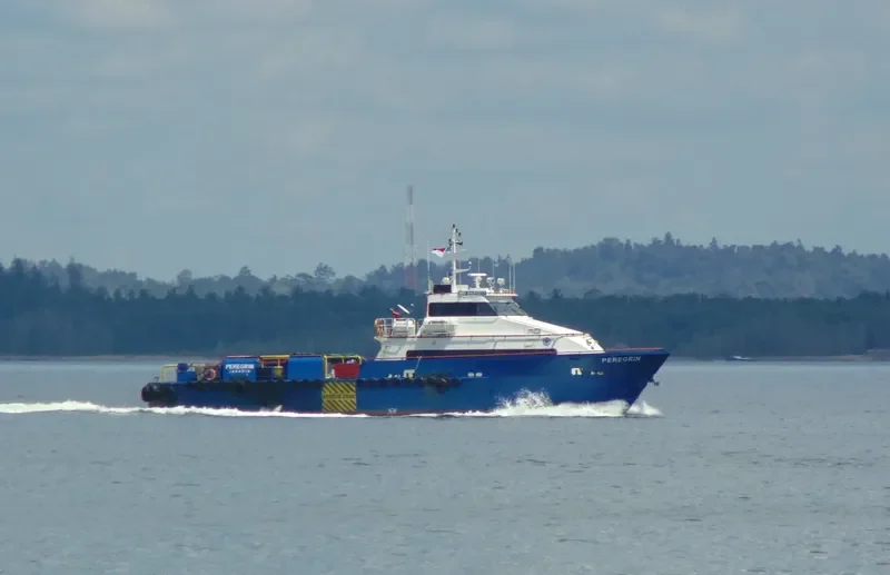 PEREGRIN Offshore Vessel IMO 9491317 photo 2