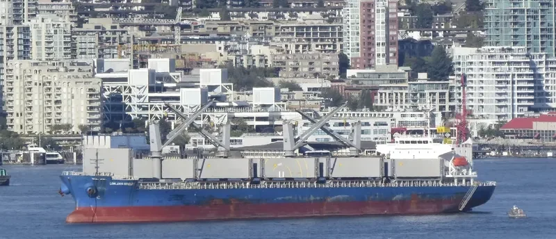 LOWLANDS SCHELDT General Cargo IMO 9491587 photo 9