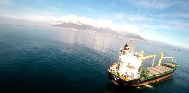 VEGA VIRGO Container Ship IMO 9491604 photo 10