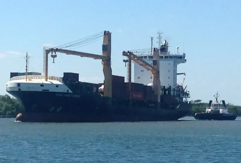 VEGA SAGITTARIUS Container Ship IMO 9491616 photo 3