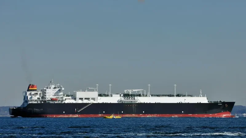 CUBAL General Cargo IMO 9491812