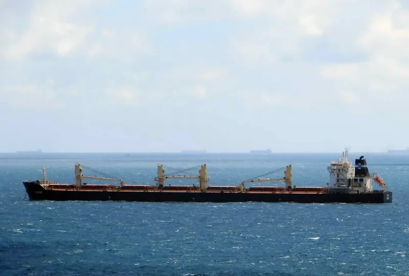 DIANE Bulk Carrier IMO 9492086