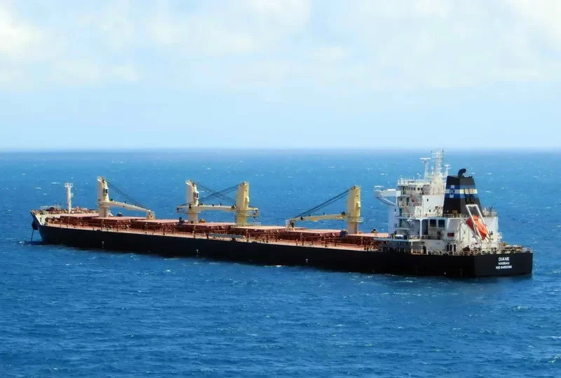 DIANE Bulk Carrier IMO 9492086 photo 2