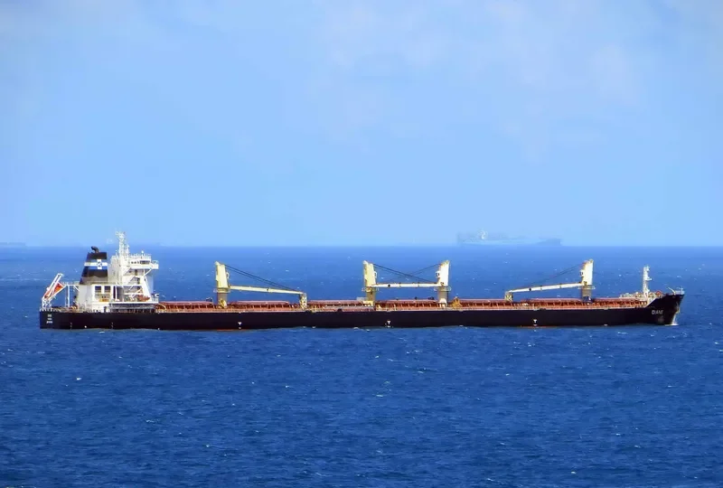 DIANE Bulk Carrier IMO 9492086 photo 4