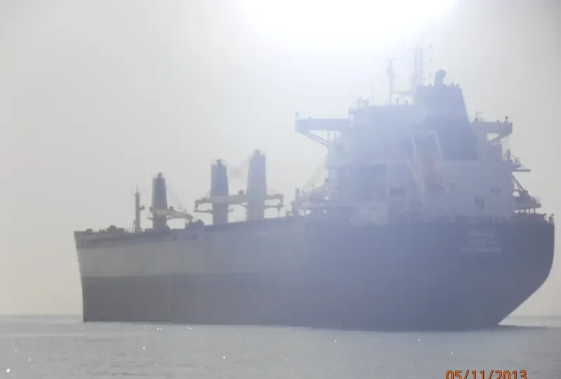 DIANE Bulk Carrier IMO 9492086 photo 8