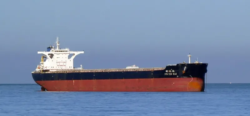 XIN BIN HAI Bulk Carrier IMO 9492098