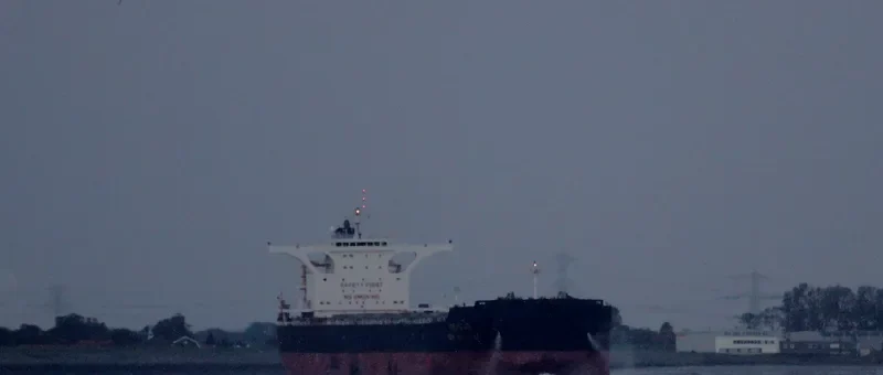 XIN BIN HAI Bulk Carrier IMO 9492098 photo 6
