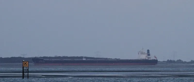 XIN BIN HAI Bulk Carrier IMO 9492098 photo 8