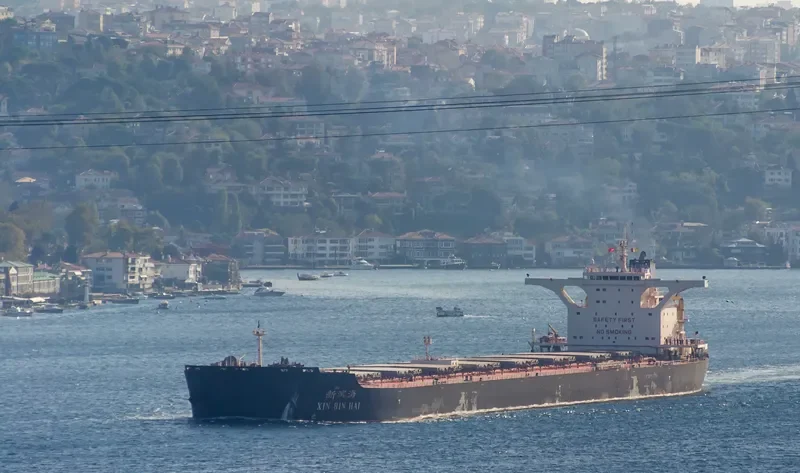 XIN BIN HAI Bulk Carrier IMO 9492098 photo 9