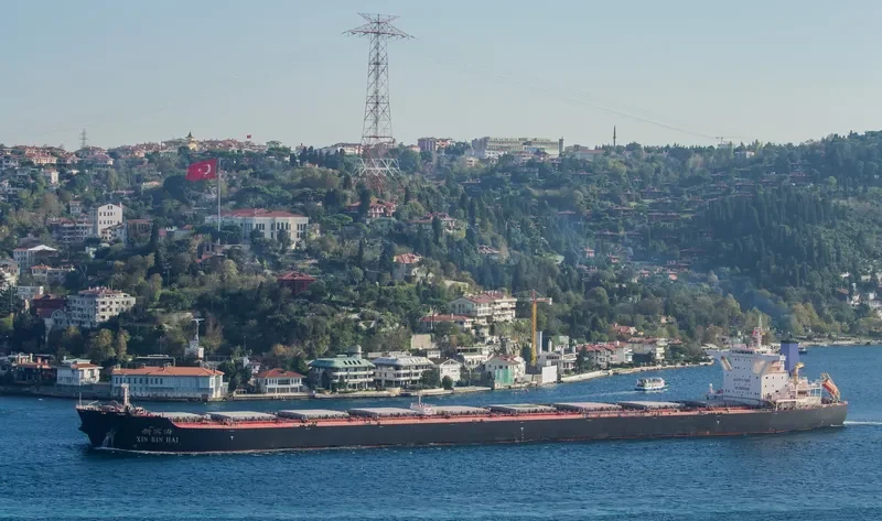 XIN BIN HAI Bulk Carrier IMO 9492098 photo 10