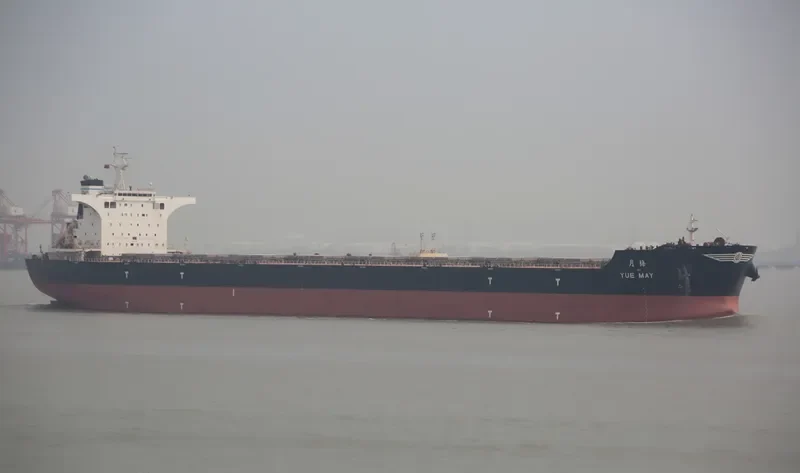YUE MAY Bulk Carrier IMO 9492206 photo 3