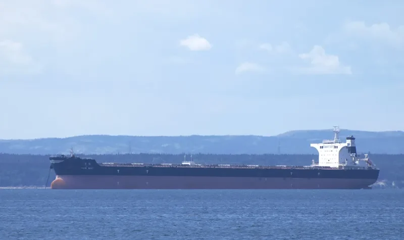 YUE MAY Bulk Carrier IMO 9492206 photo 5