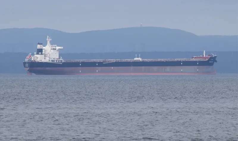 YUE MAY Bulk Carrier IMO 9492206 photo 6