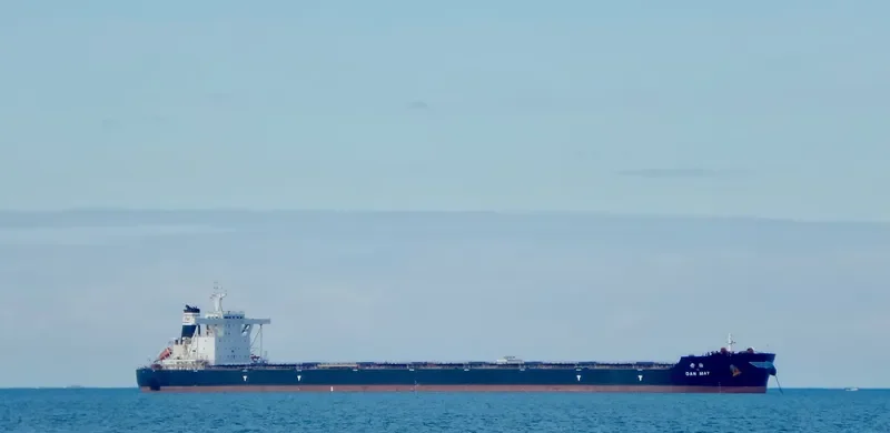 DAN MAY Bulk Carrier IMO 9492218 photo 6