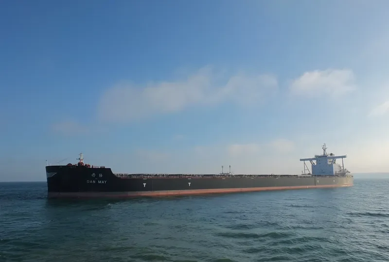 DAN MAY Bulk Carrier IMO 9492218 photo 9