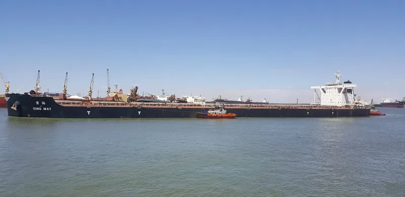QING MAY Bulk Carrier IMO 9492220 photo 2