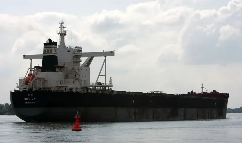 QING MAY Bulk Carrier IMO 9492220 photo 3