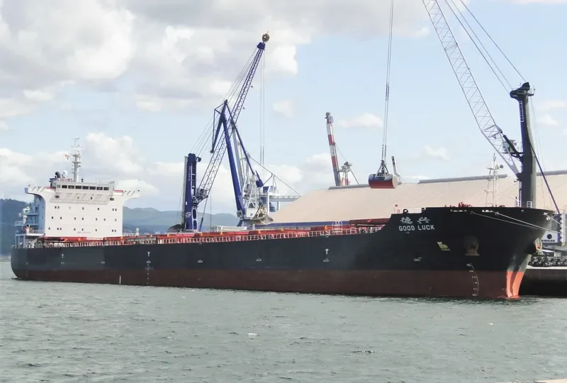 GOOD LUCK Bulk Carrier IMO 9492517 photo 4