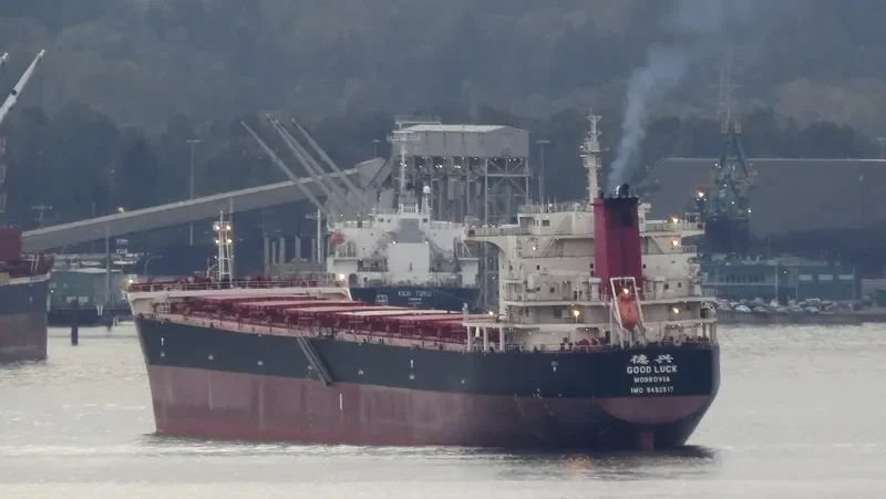 GOOD LUCK Bulk Carrier IMO 9492517 photo 10