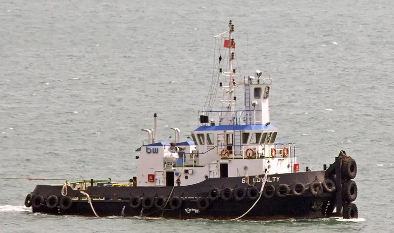 BW LOYALTY General Cargo IMO 9492622 photo 2